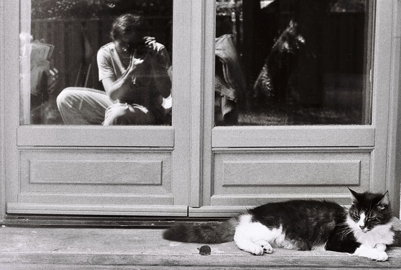 autoportrait avec bobo