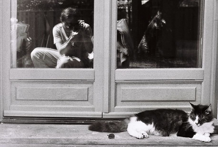 autoportrait avec bobo