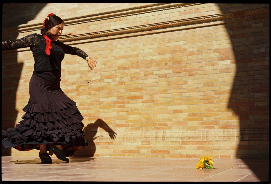 la danseuse de flamenco