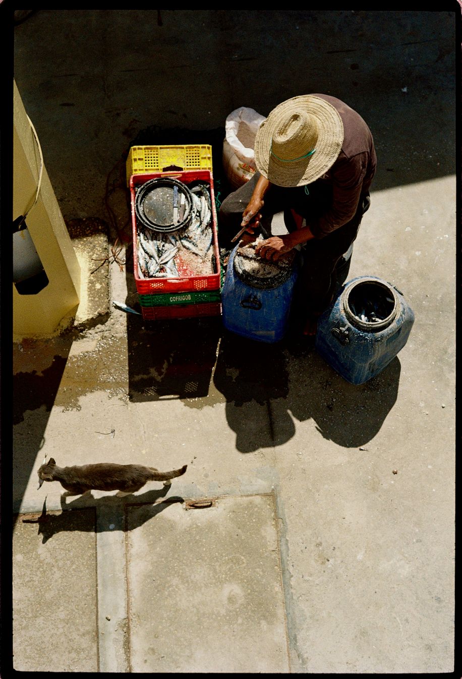 maroc